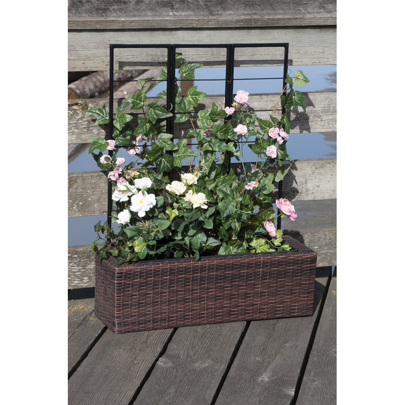 Bloomsbury Market Dionisio Resin Wicker Planter Box with Trellis